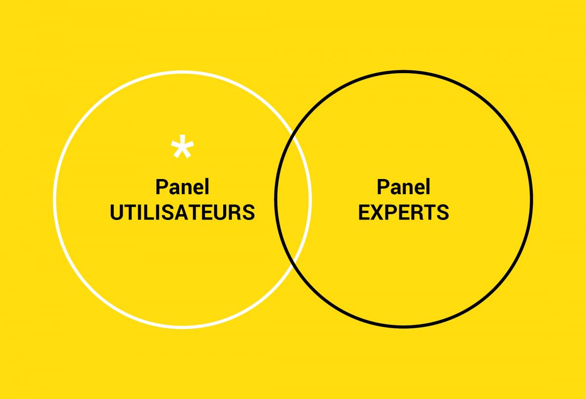 Un panel d’utilisateurs plus un panel d’experts, parfois experts-utilisateurs.